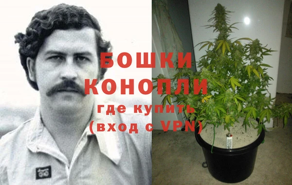 ПСИЛОЦИБИНОВЫЕ ГРИБЫ Алзамай