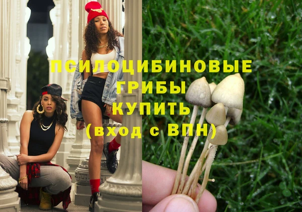 ПСИЛОЦИБИНОВЫЕ ГРИБЫ Алзамай