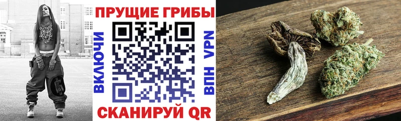 блэк спрут ONION Нижние Серги Псилоцибиновые грибы Psilocybine cubensis